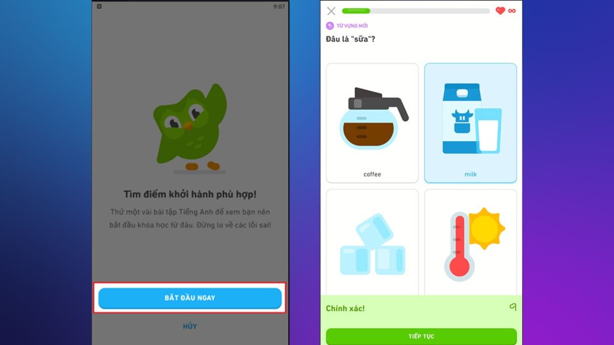 Cách đăng ký tài khoản Duolingo bước 3