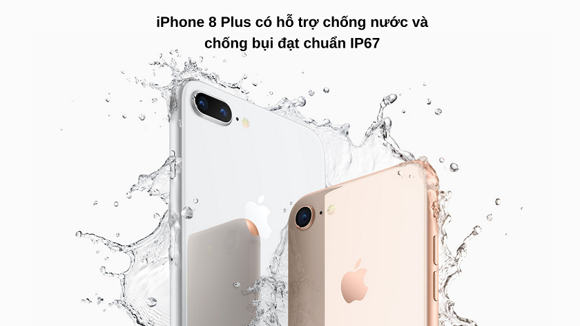 iPhone 8 Plus có chống nước không?